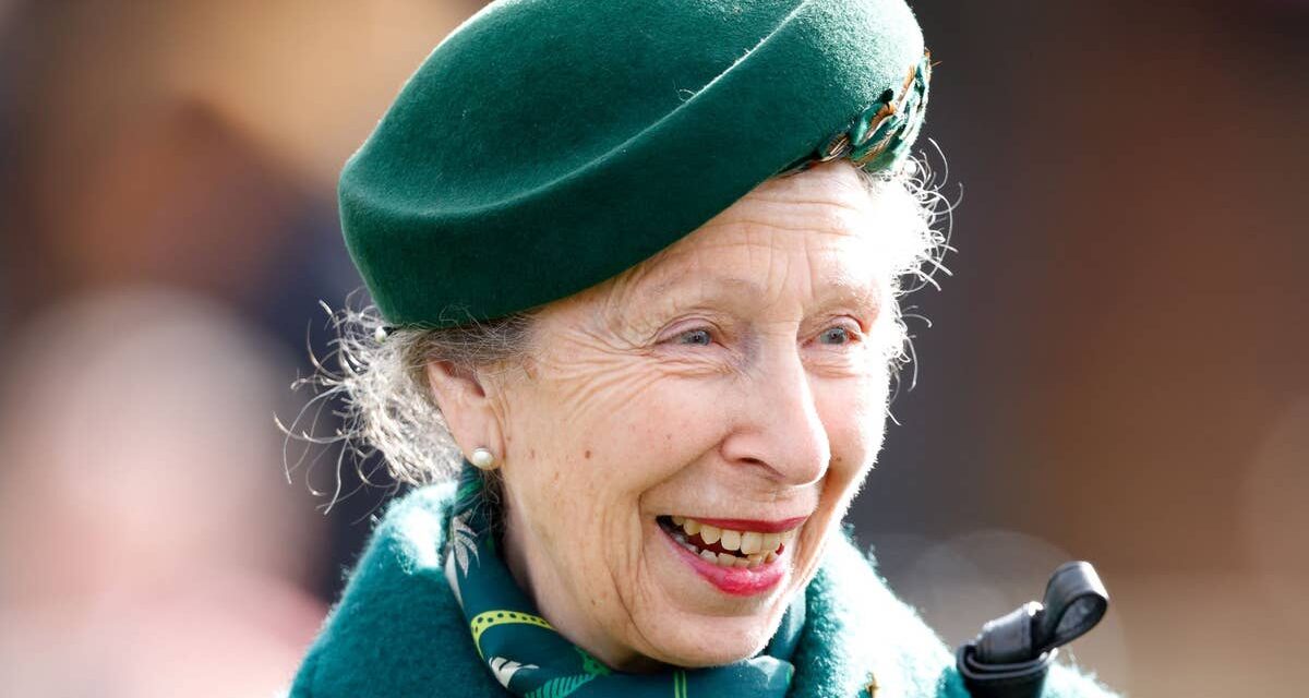 Les cheveux emblématiques de la princesse Anne viennent de lui valoir une nouvelle distinction royale
