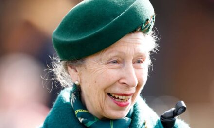 Les cheveux emblématiques de la princesse Anne viennent de lui valoir une nouvelle distinction royale