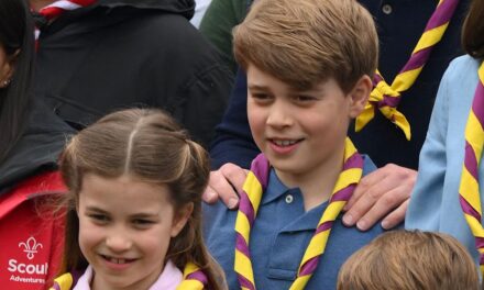 Pourquoi le prince George, la princesse Charlotte et le prince Louis ont éclaté de rire lors d&rsquo;une séance photo officielle