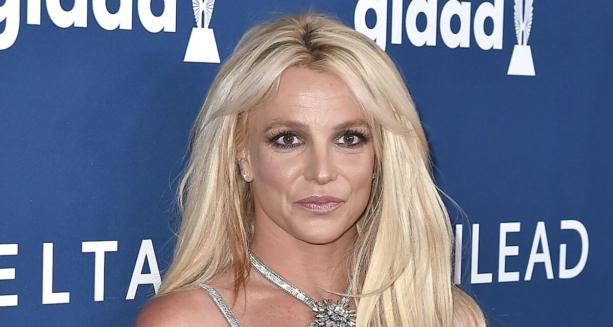 Un expert juridique se prononce sur l&rsquo;avenir de Britney Spears au milieu de son arrestation