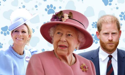 Jouez au jeu de cartes assorties pour animaux de compagnie royaux de HELLO!