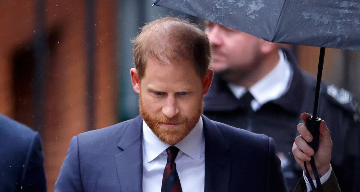Le prince Harry poursuivi pour diffamation par son ancienne association caritative Sentebale