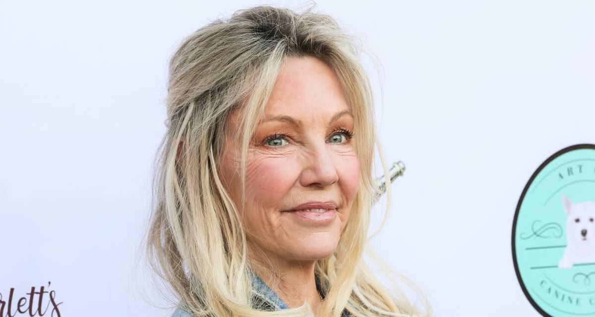 Dans l&rsquo;histoire des rencontres de Heather Locklear, y compris ses mariages avec deux rock stars