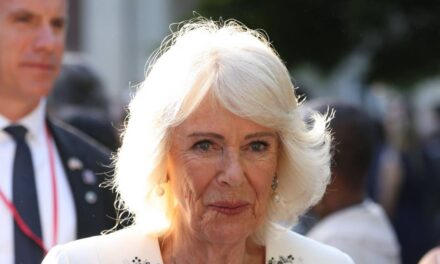 La reine Camilla fait des aveux pertinents lors de sa visite d&rsquo;État royale aux États-Unis