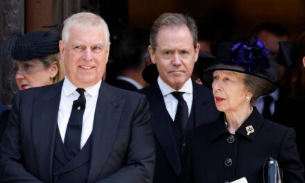 Appel téléphonique secret de Noël de la princesse Anne à son frère en disgrâce Andrew Mountbatten-Windsor – rapport