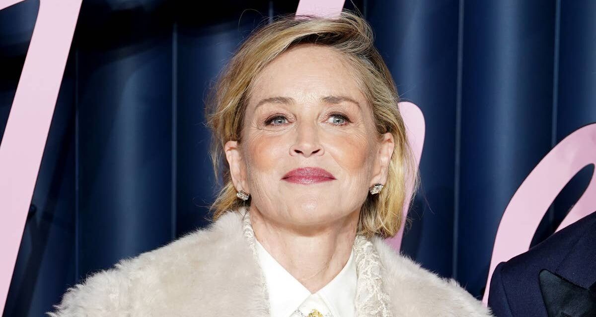 Sharon Stone a l&rsquo;air si différente dans son nouveau look alors qu&rsquo;elle suscite des spéculations
