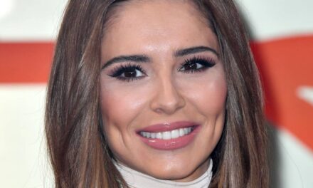 Bear, le fils rarement vu de Cheryl, 9 ans, est si grand sur de nouvelles photos de vacances secrètes