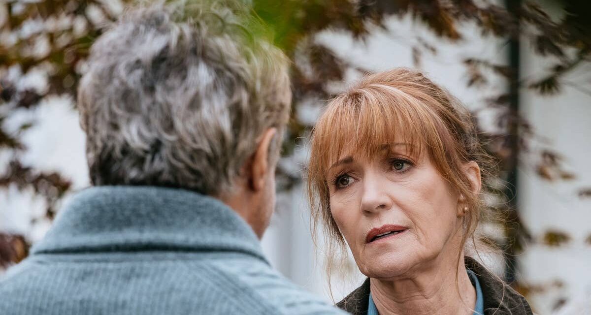 Le drame policier « à ne pas manquer » Harry Wild est votre frénésie télévisée cette semaine