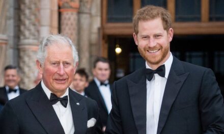La vraie raison pour laquelle le prince Harry et le roi Charles ne prévoient pas de se réunir aux États-Unis ce mois-ci après des échanges de rapports