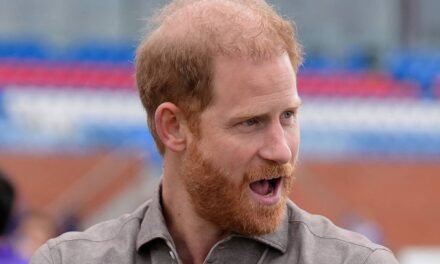 La réaction en deux mots du prince Harry après avoir repéré une jeune fan aux cheveux roux