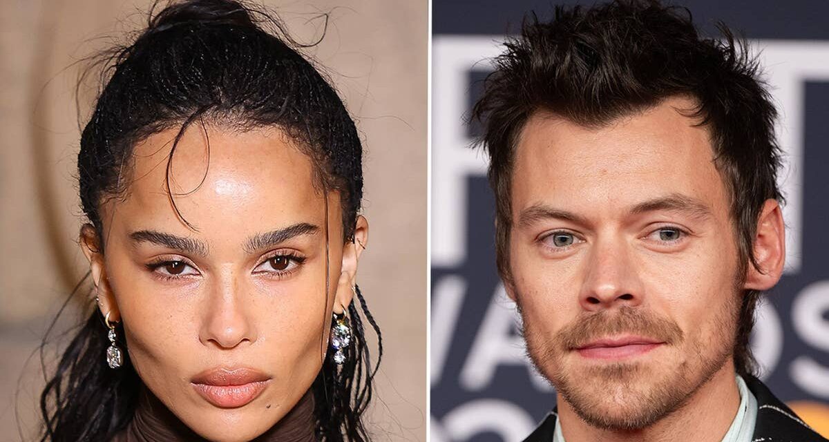 La situation de vie non conventionnelle « séparée » de Zoe Kravitz et Harry Styles
