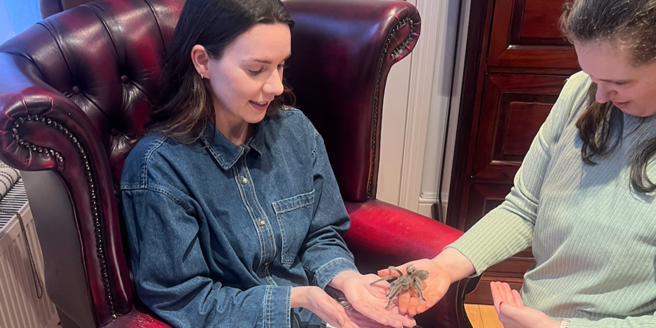 Les astuces hallucinantes qui m&rsquo;ont guéri pour de bon de ma phobie des araignées