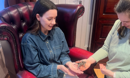 Les astuces hallucinantes qui m&rsquo;ont guéri pour de bon de ma phobie des araignées