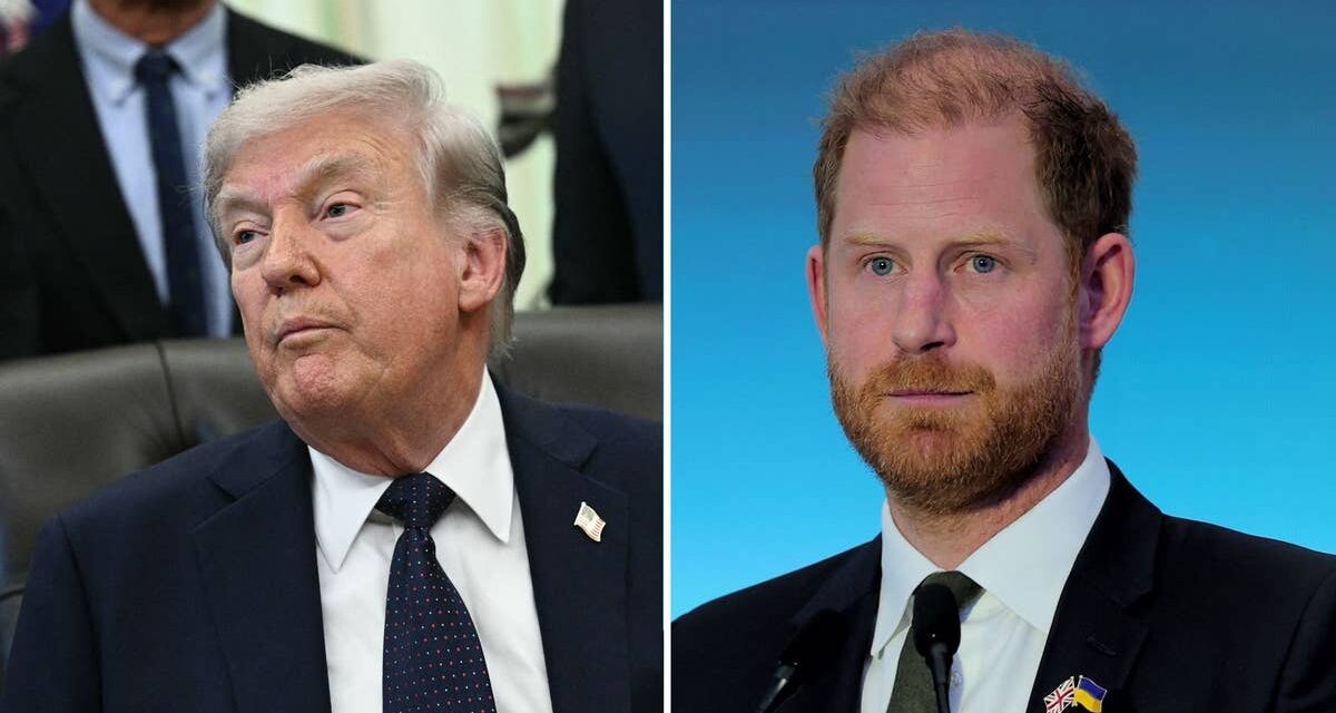 Donald Trump affirme que le prince Harry ne parle plus « au nom du Royaume-Uni » après les commentaires américains