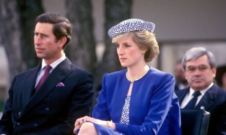 Le rare aperçu de la princesse Diana sur la vie à huis clos avec le roi Charles