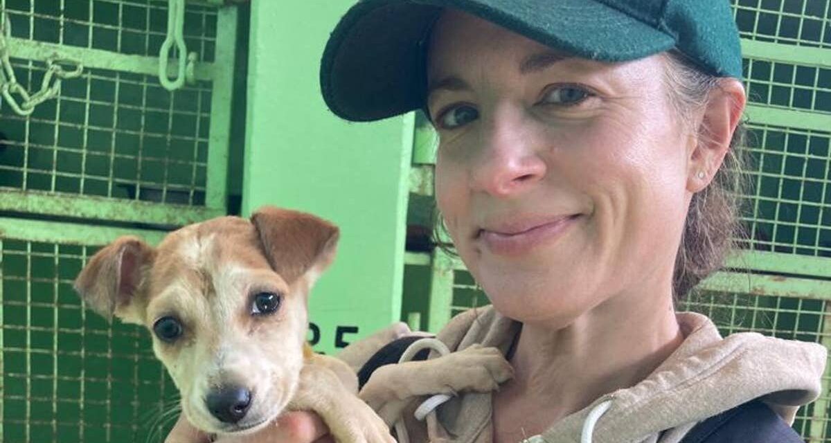 Pourquoi j&rsquo;ai renoncé à interviewer des célébrités pour sauver des chiens des rues en Inde à la quarantaine – et vous le pouvez aussi