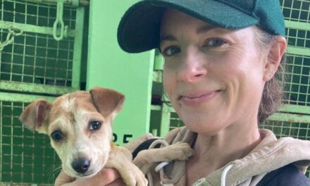 Pourquoi j&rsquo;ai renoncé à interviewer des célébrités pour sauver des chiens des rues en Inde à la quarantaine – et vous le pouvez aussi