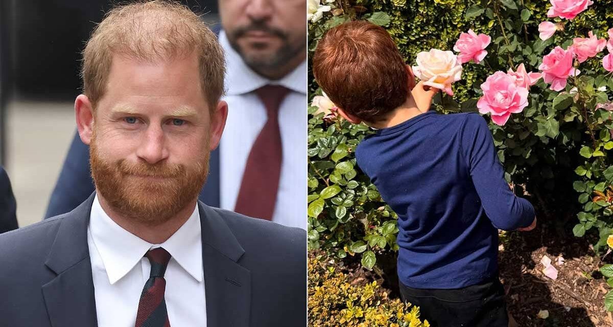 Le prince Harry admet les « difficultés » d&rsquo;être papa et le sentiment de « déconnexion » avec son fils Archie