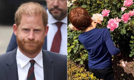 Le prince Harry admet les « difficultés » d&rsquo;être papa et le sentiment de « déconnexion » avec son fils Archie