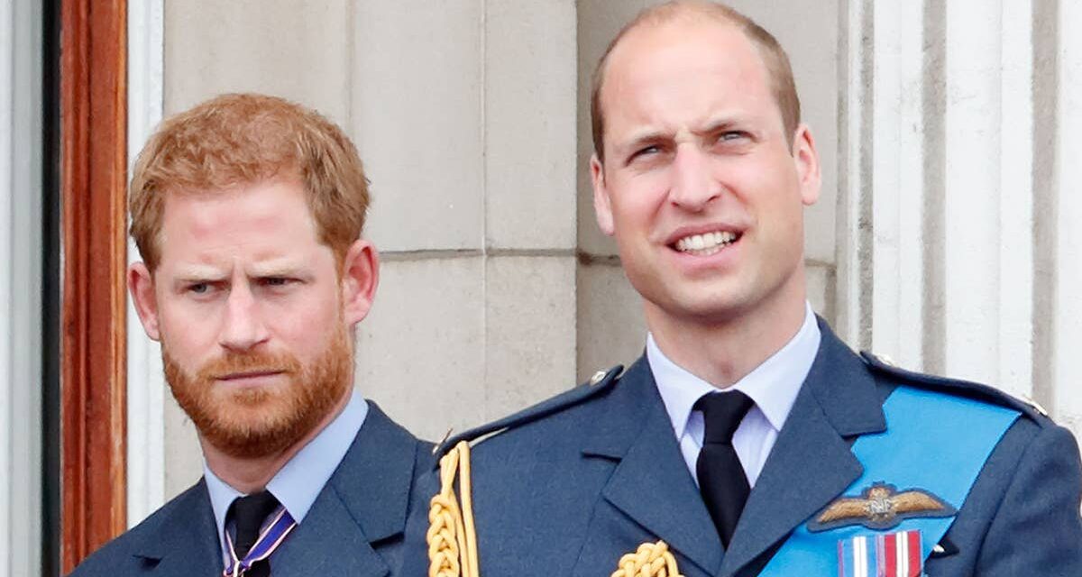 Le dilemme parental « effrayant » du prince Harry auquel le prince William peut s&rsquo;identifier