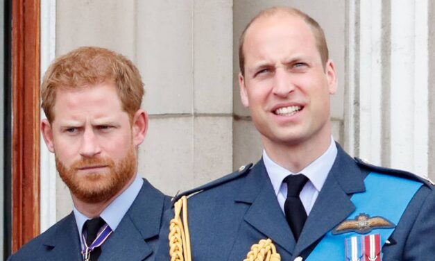 Le dilemme parental « effrayant » du prince Harry auquel le prince William peut s&rsquo;identifier