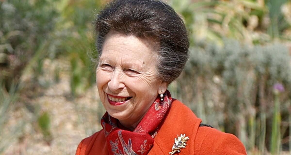 L&rsquo;étrange nourriture congelée d&rsquo;avion de la princesse Anne qui l&rsquo;obsède