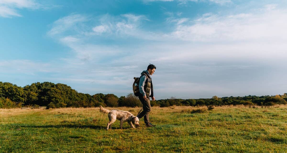 Les meilleures promenades à la campagne à moins de 30 minutes de Londres