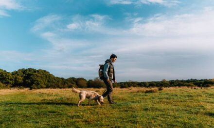 Les meilleures promenades à la campagne à moins de 30 minutes de Londres