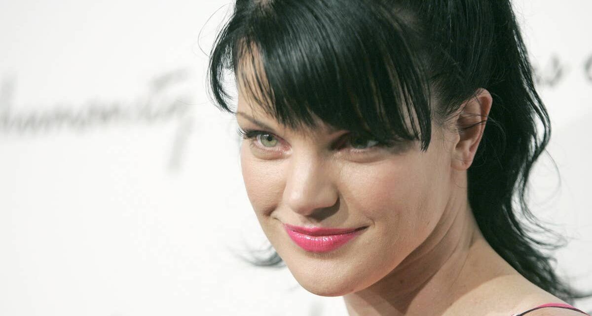 Stars du NCIS au début de leur carrière vs maintenant : voir Mark Harmon, Pauley Perrette et plus