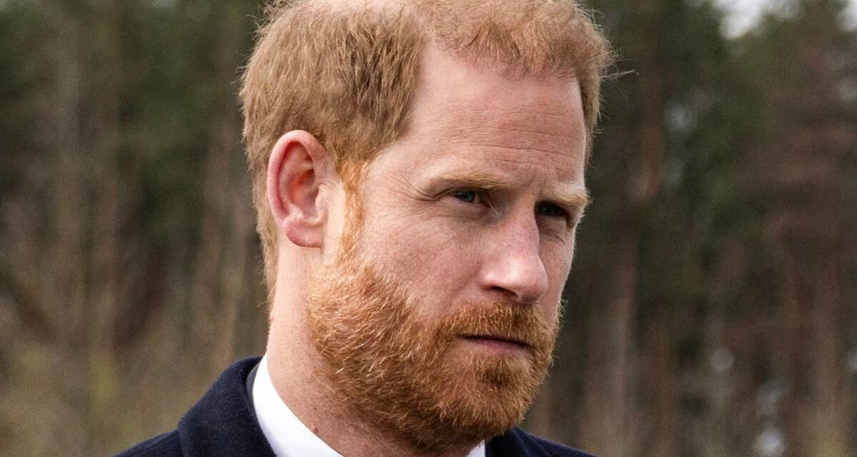 La visite émouvante du prince Harry à la tombe lors de son seul voyage en Ukraine