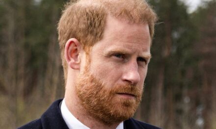 La visite émouvante du prince Harry à la tombe lors de son seul voyage en Ukraine