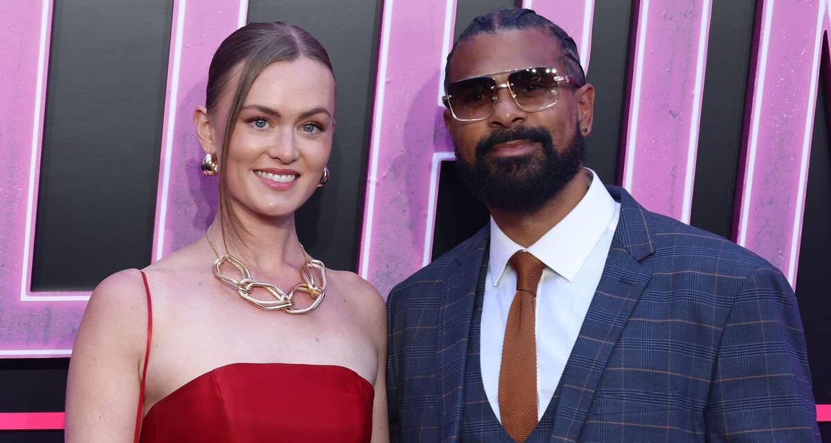 Rencontrez la petite amie de David Haye avec une « personnalité de vilain oiseau » qui a été obligée de le défendre