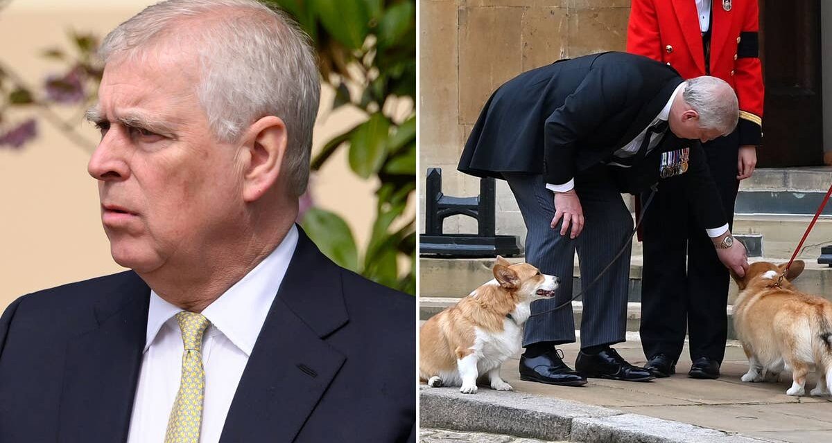 Les arrangements « spéciaux » de la chambre d&rsquo;Andrew Mountbatten-Windsor pour les Corgis choyés de la reine Elizabeth