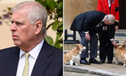 Les arrangements « spéciaux » de la chambre d&rsquo;Andrew Mountbatten-Windsor pour les Corgis choyés de la reine Elizabeth