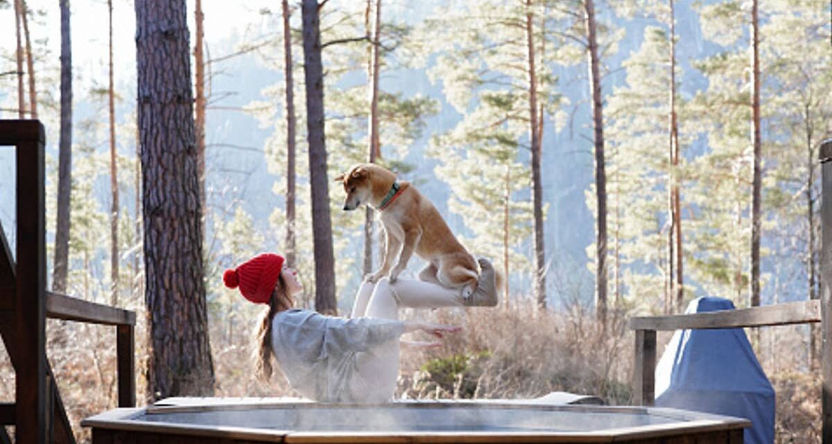 Payeriez-vous 599 £ pour un lit pour chien ? Le boom du bien-être des animaux de compagnie expliqué