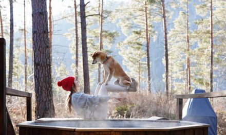 Payeriez-vous 599 £ pour un lit pour chien ? Le boom du bien-être des animaux de compagnie expliqué