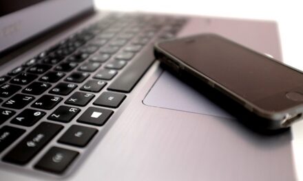 Comment les entreprises françaises choisissent leurs logiciels en 2025