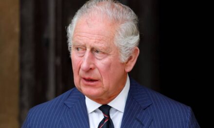 Le roi Charles a exhorté à ne pas faire volte-face sur ses projets immobiliers pour 2027
