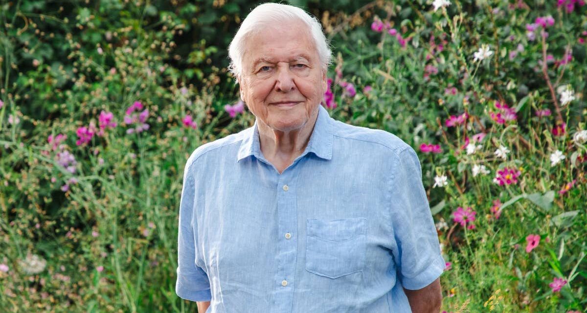 David Attenborough fête ses 100 ans – un médecin révèle 7 habitudes simples liées à un vieillissement en meilleure santé