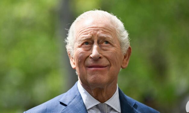 Le roi Charles inspire l&rsquo;invention pour apporter le pouvoir au peuple