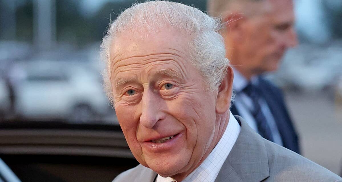 Regardez le moment où le roi Charles laisse un homme adulte étourdi après une rare rencontre