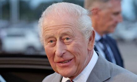Regardez le moment où le roi Charles laisse un homme adulte étourdi après une rare rencontre