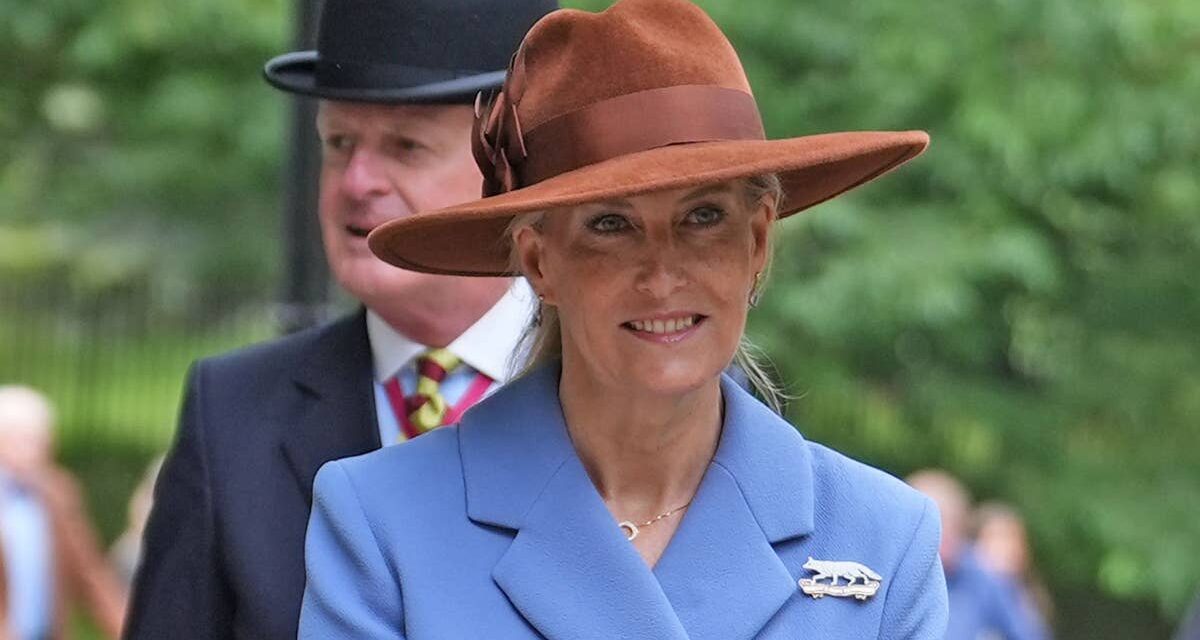 La duchesse Sophie est magnifique dans une robe Cendrillon cintrant la taille et un sac à imprimé animal
