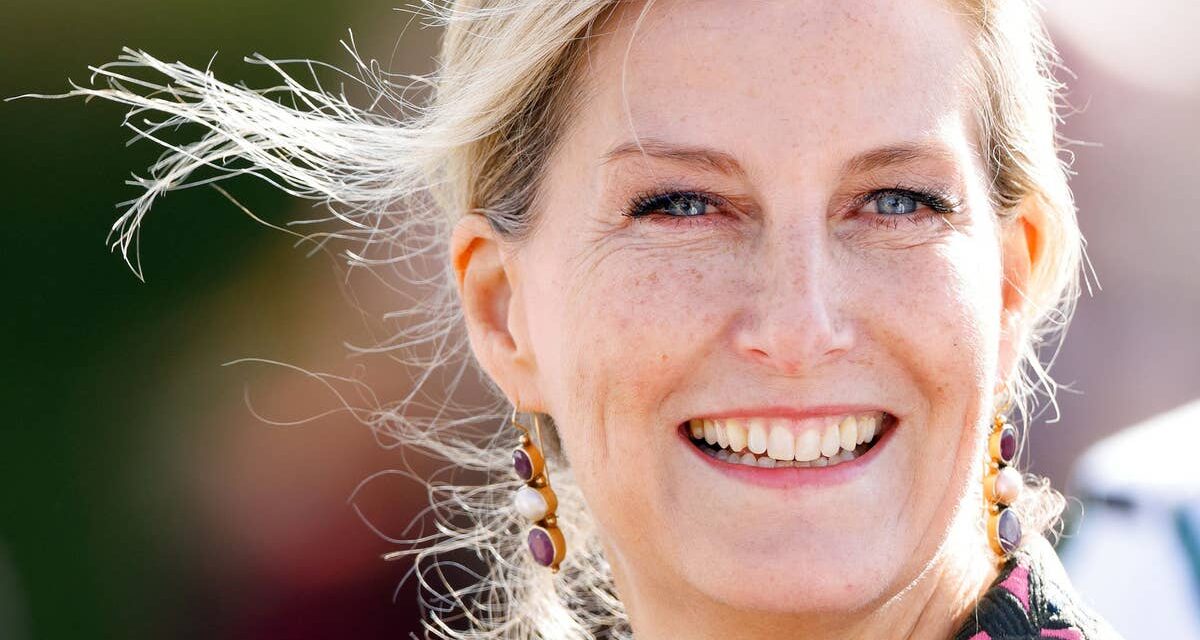 La duchesse Sophie incarne le look le plus emblématique de la princesse Diana des années 80 alors qu&rsquo;elle roucoule devant bébé