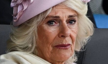 Est-ce pour cela que la reine Camilla n&rsquo;a pas rejoint le roi Charles aux Bermudes ?