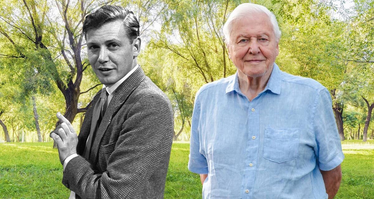 15 citations puissantes de Sir David Attenborough pour marquer son 100e anniversaire