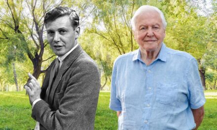 15 citations puissantes de Sir David Attenborough pour marquer son 100e anniversaire
