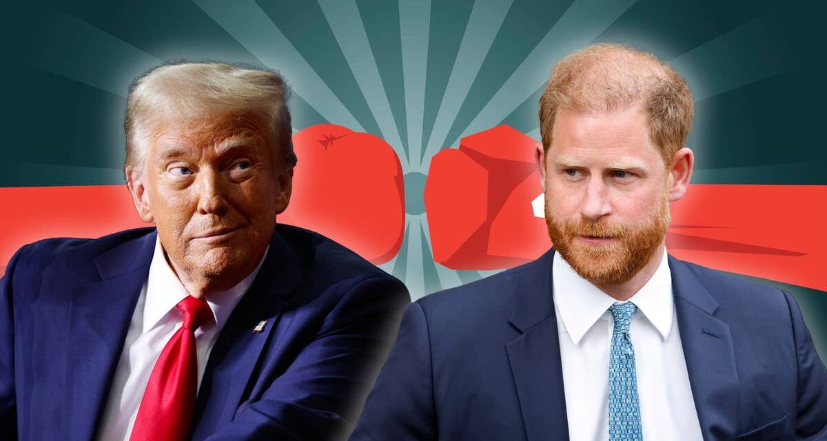 Une histoire et une explication de la querelle très publique du président Trump et du prince Harry