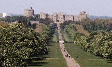 Je suis allé dans les coulisses du château de Windsor et j&rsquo;ai découvert à quoi ressemble vraiment la famille royale.