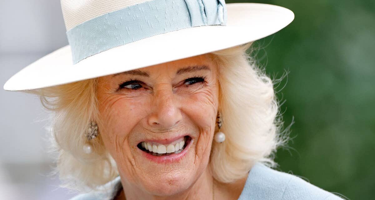 La reine Camilla qualifiée d' »exquise » dans un nouveau portrait saisissant